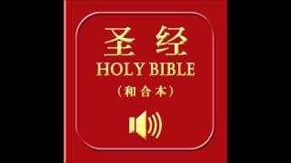 和合本圣经 • 约翰福音  Chinese Union Version Bible • John