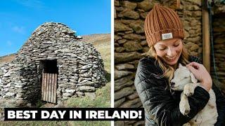 DINGLE IRELAND Slea Head Drive Beehive Huts Sheep and Food