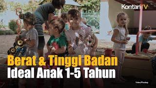 Berat & Tinggi Badan Ideal Anak 1 5 Tahun