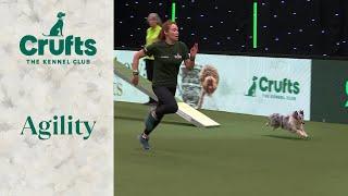 Agility - Singles Final Small Medium Intermediate and Large Part 1 Agility  ​Crufts 2024