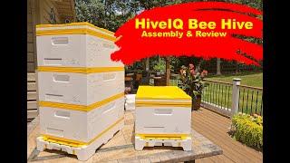 HiveIQ Bee Hive Review And Assembly