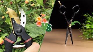Pruning Shears vs Scissors Which is the Right Cutting Tool for Your Needs?