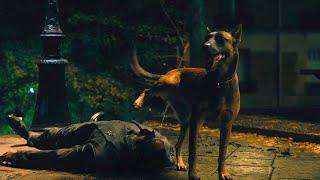 John Wick 4 Dog Peeing Scene  Best Funniest Sence in John Wick Chapter 4