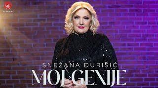 SNEZANA DJURISIC - MOJ GENIJE OFFICIAL VIDEO