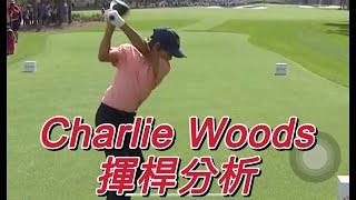 學習高爾夫｜Charlie Woods 揮桿分析