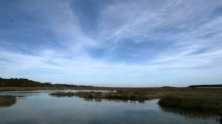 Time Lapse of South Carolina Salt Marsh