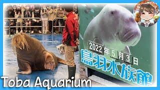 Toba Aquarium  Golden Week Travel Vlog Mie Part 1 Kiwi In Japan 206