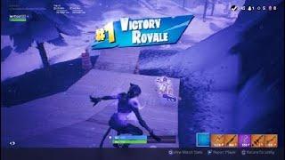 Fortnite  Winning with Black Lynx skin