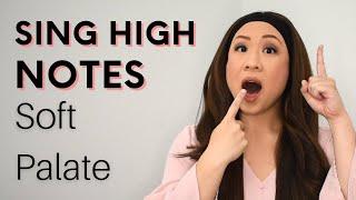 SOFT PALATE For Singing High Notes Voice Lesson