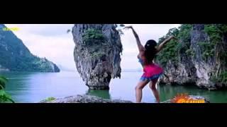 DAISY BOPPANA NAVEL SONG