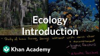 Ecology introduction  Ecology  Khan Academy