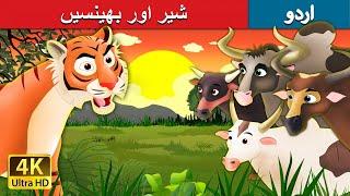 شیر اور بھینسیں  Tiger and Buffaloes in Urdu  Urdu Story  Urdu Fairy Tales