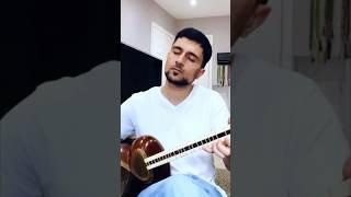 گفتم غم تو دارم ابوعطا به یاد استاد محمدرضا لطفی Mohamad Reza Lotfi #music