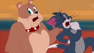 The Tom and Jerry Show - Pets Not Welcome - Funny animals cartoons for kids