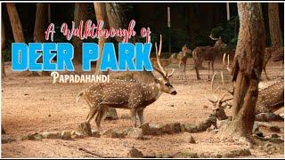 A Walkthrough to Deer Park Papdahandi  Nabarangpur  SIMPLY NUTS