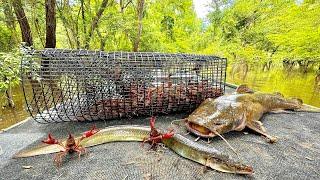 Crawfish Eels and Catfish Catch & Cook The Swamps most Prized Delicacies