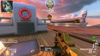 CoD BO2 PC Chicom CQB 81-8 Double Swarm on Hijacked map - Domination