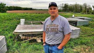 10 Years Experience Raising Broiler Chickens on Pasture for Commercial Sale