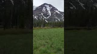 Glacier National Park Two Medicine Valley