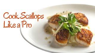 How to Cook Scallops  My Best Scallops Recipe