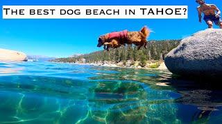 The TOP 3 dog beaches around Lake TAHOE.  In my opinion.