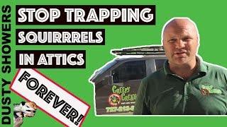 Stop Trapping Squirrels In Attics Forever - Updated w Secret Weapon