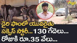 Young Farmer Successful Dairy Farming   130 గేదెలు.. రోజుకి రూ.35వేలు..  Tone Agri