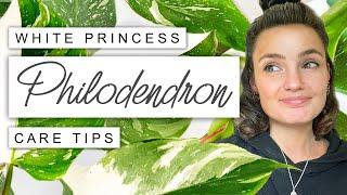 White Princess Philodendron Care TIPS + TRICKS   Philodendron White Princess Survival Guide 