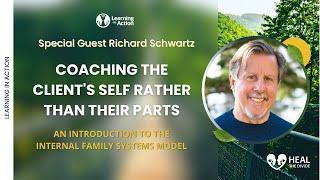 Coaching the Clients Self Rather Than Their Parts with Richard Schwartz  Heal The Divide Podinar