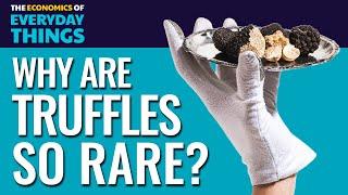 Truffles Replay  The Economics of Everyday Things