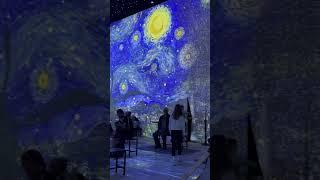 The Starry Night 1889 Vincent Van Gogh -  Immersive Experience London