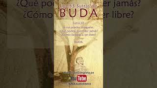 Buda - Sutra 45 Del Audiolibro Los 53 Sutras de Buda #audiolibro #buda #budismo #espiritualidad