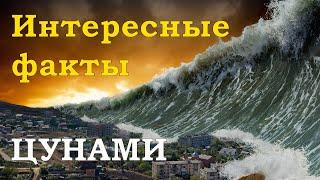 Интересные факты о цунами. Самое большое ЦУНАМИ в истории человечества