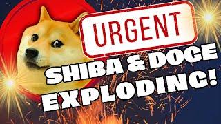  THIS IS IT SHIBA INU COIN EXPLODING UP DOGECOIN PRICE PREDICTION️ Best Cryptos To Buy Now