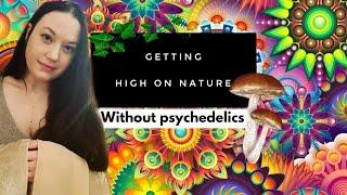 Getting High On Nature Without Using Psychedelics  Biophilia