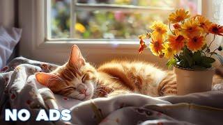 12 Hours Healing Cat Music  Sleep Music for Cats With Video 4K  Sleepy Cat Soothing Piano