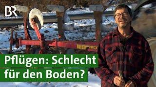 Bodenschutz am Acker Pflügen oder nicht?  Doku Bio Landwirt  Landwirtschaft  Unser Land