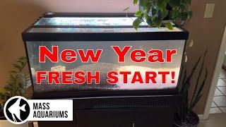 NEW YEAR NEW AQUARIUM We Build We Scape We Maintain and We Enjoy then we Destroy and Start Fresh