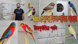 ৪০০ জোড়া ফিঞ্চ পাখির খামার  400 Pair finch Birds farm in Bangladesh