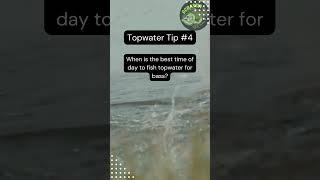 Topwater Fishing Techniques that Will Change Your Game #shorts #bassfishing #fishing