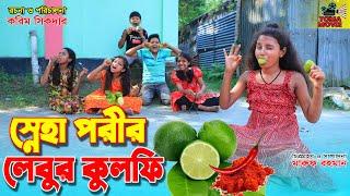 স্নেহা পরীর লেবুর কুলফি  Sneha porir lebur kulfi  Sneha Pori Natok  Bangla New Natok  KS Toma 