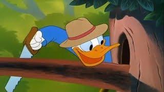 ᴴᴰ Pato Donald y Chip y Dale dibujos animados - Pluto Mickey Mouse Episodios Completos Nuevo 2018