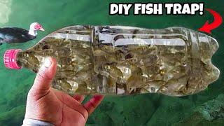 DIY PLASTIC Bottle FISH TRAP