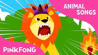 The Lion  Animal Songs  PINKFONG Songs for Children