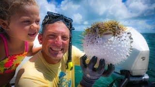 Best Tasting fish in the Ocean {Catch Clean Cook} Potato Crusted fish with Creamy Mango Drizzle