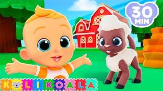 Baa Baa Black Sheep  and more Nursery Rhymes  KOLI KOALA  Kids Songs