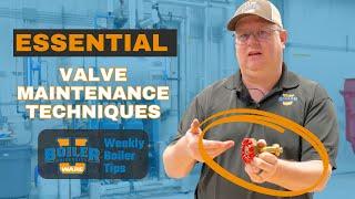 Preventing Valve Leaks The Importance of Back Seating - Weekly Boiler Tips