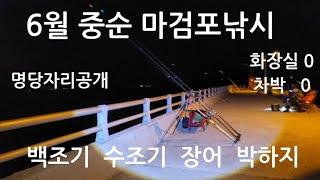 6월 중순 태안 마검포 원투낚시   백조기 수조기 장어  드론 낚시