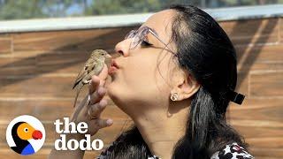 Tiny Rescue Bird Follows Her Mom Around Like A Dog  The Dodo