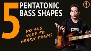 Are The Five Pentatonic Shapes Worth Learning On Bass Guitar? No.252